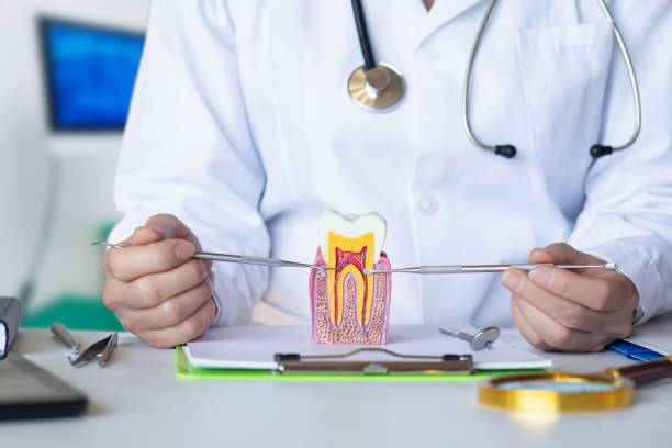 Best Emergency Dentist for Special Needs Patients in Shorewood, IL
